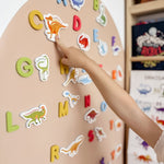 Curious Columbus - Dinosaur Magnets + Magnetic Alphabet Letters - MagPlay