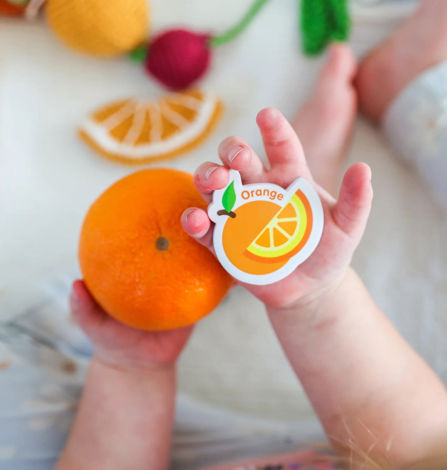 Curious Columbus - MAGNETIC FOODS & LETTERS - MagPlay