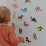MagPlay Animal Magnet Kit - MagPlay