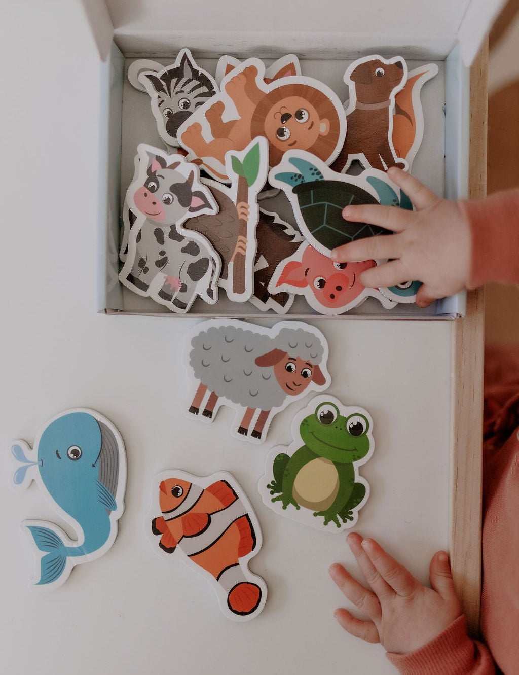 MagPlay Animal Magnet Kit - MagPlay