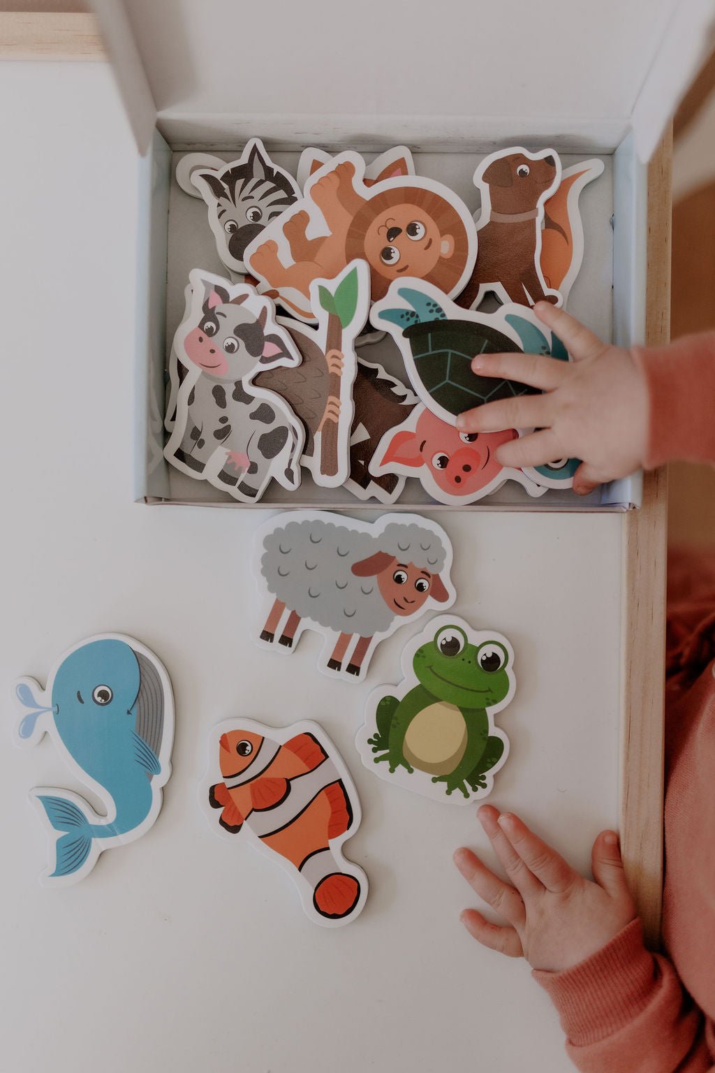MagPlay Animal Magnet Kit - MagPlay