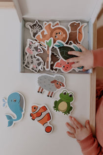MagPlay Animal Magnet Set - 15 colourful animal magnets